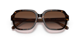 Dark Tortoise