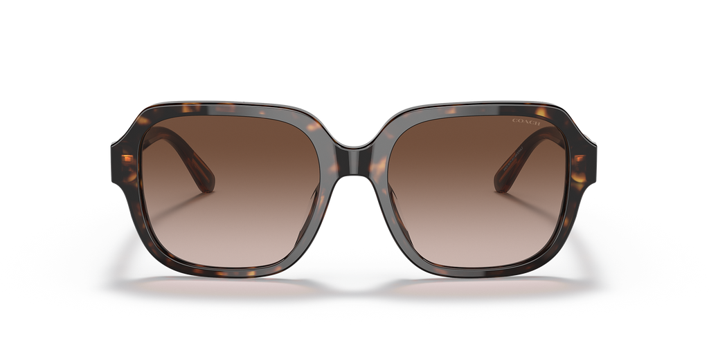 Dark Tortoise