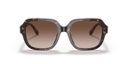 Dark Tortoise