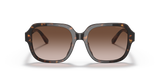 Dark Tortoise