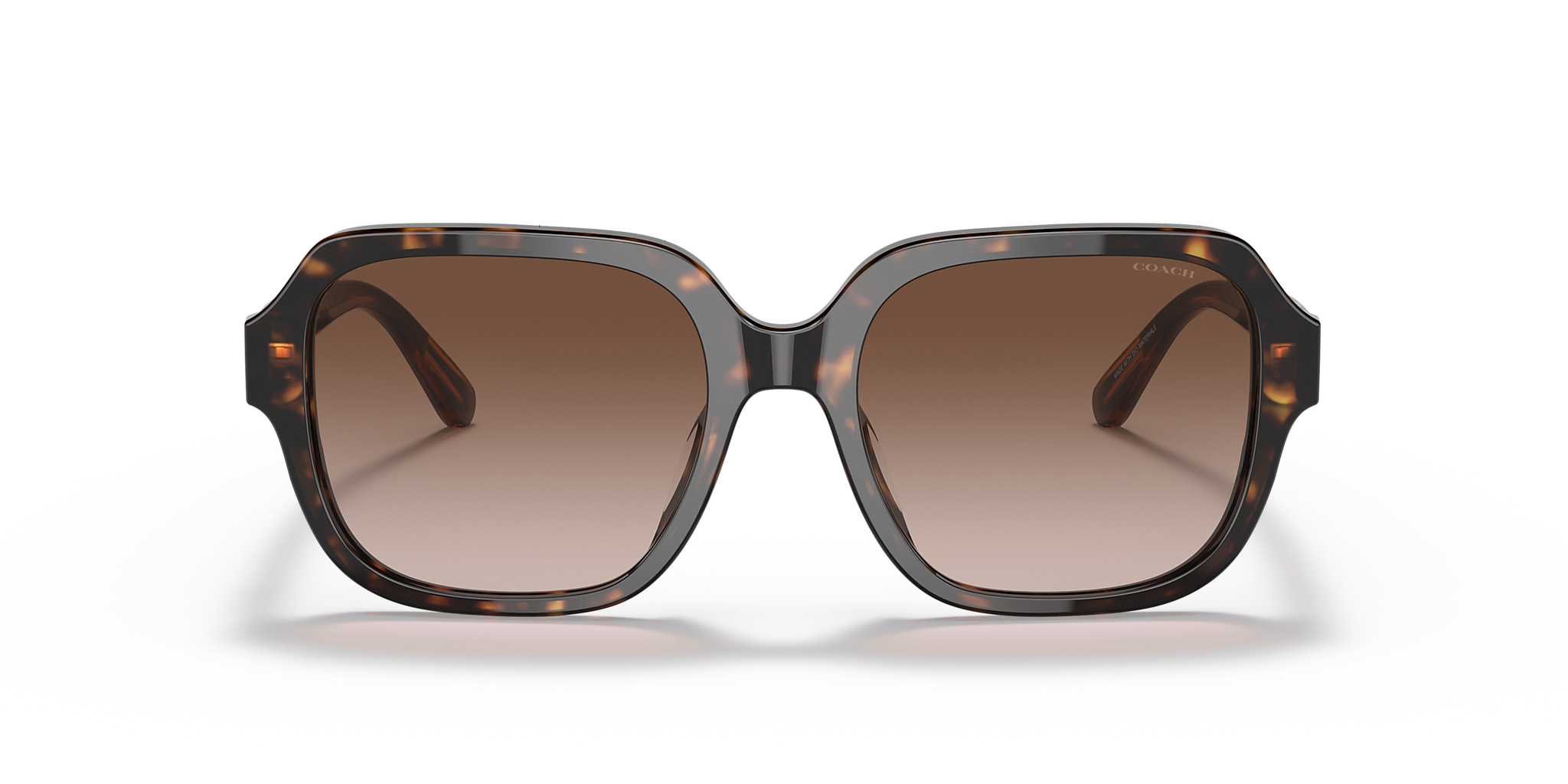 Dark Tortoise