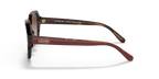 Dark Tortoise