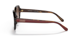 Dark Tortoise