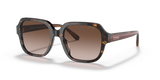 Dark Tortoise