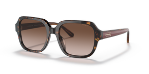 Dark Tortoise  - Brown Gradient