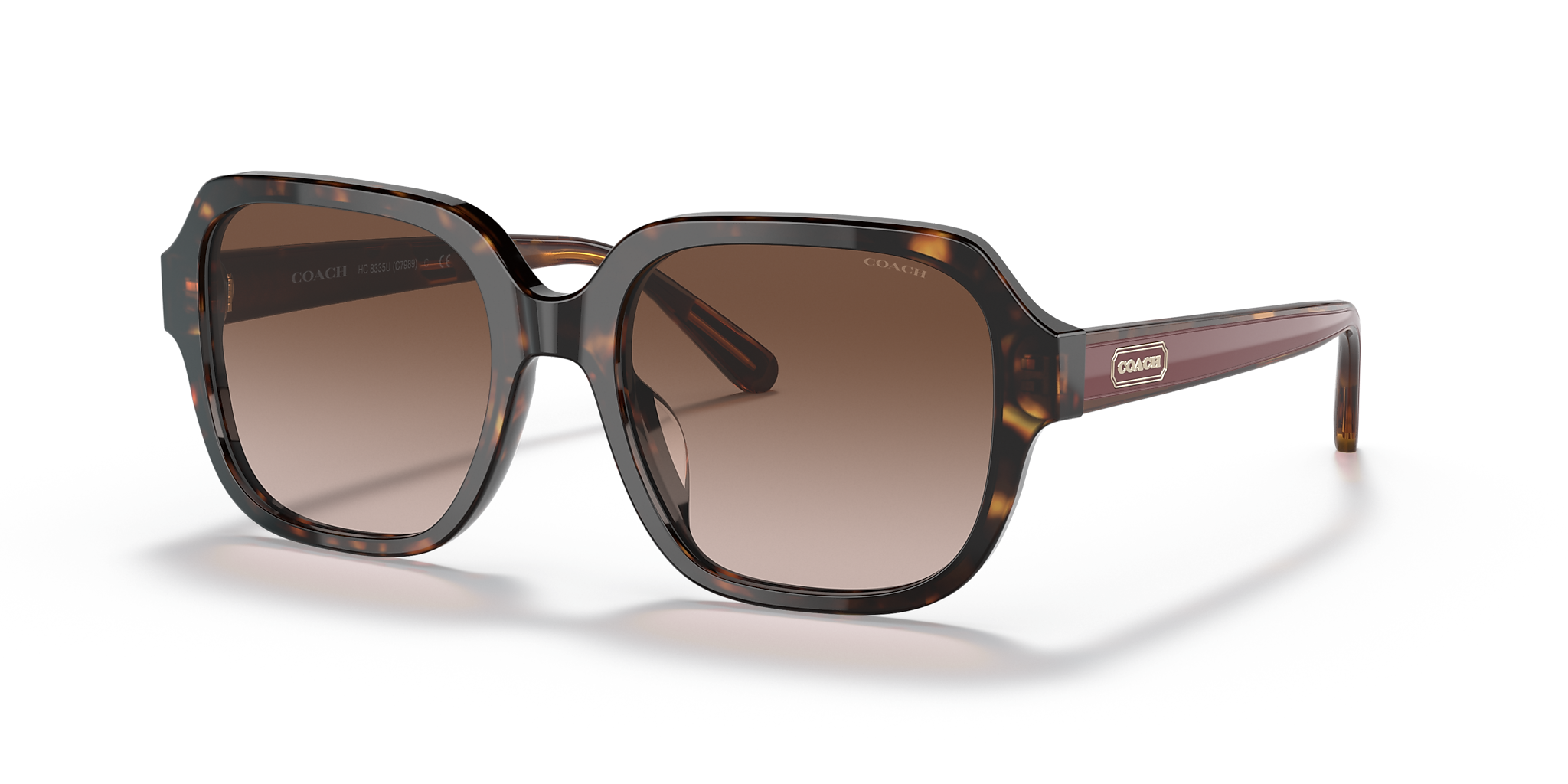Dark Tortoise