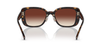 Dark Tortoise