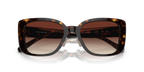 Dark Tortoise