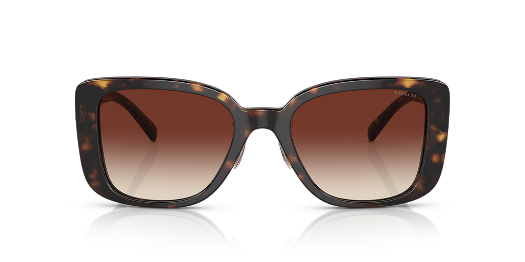 Dark Tortoise