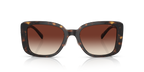Dark Tortoise