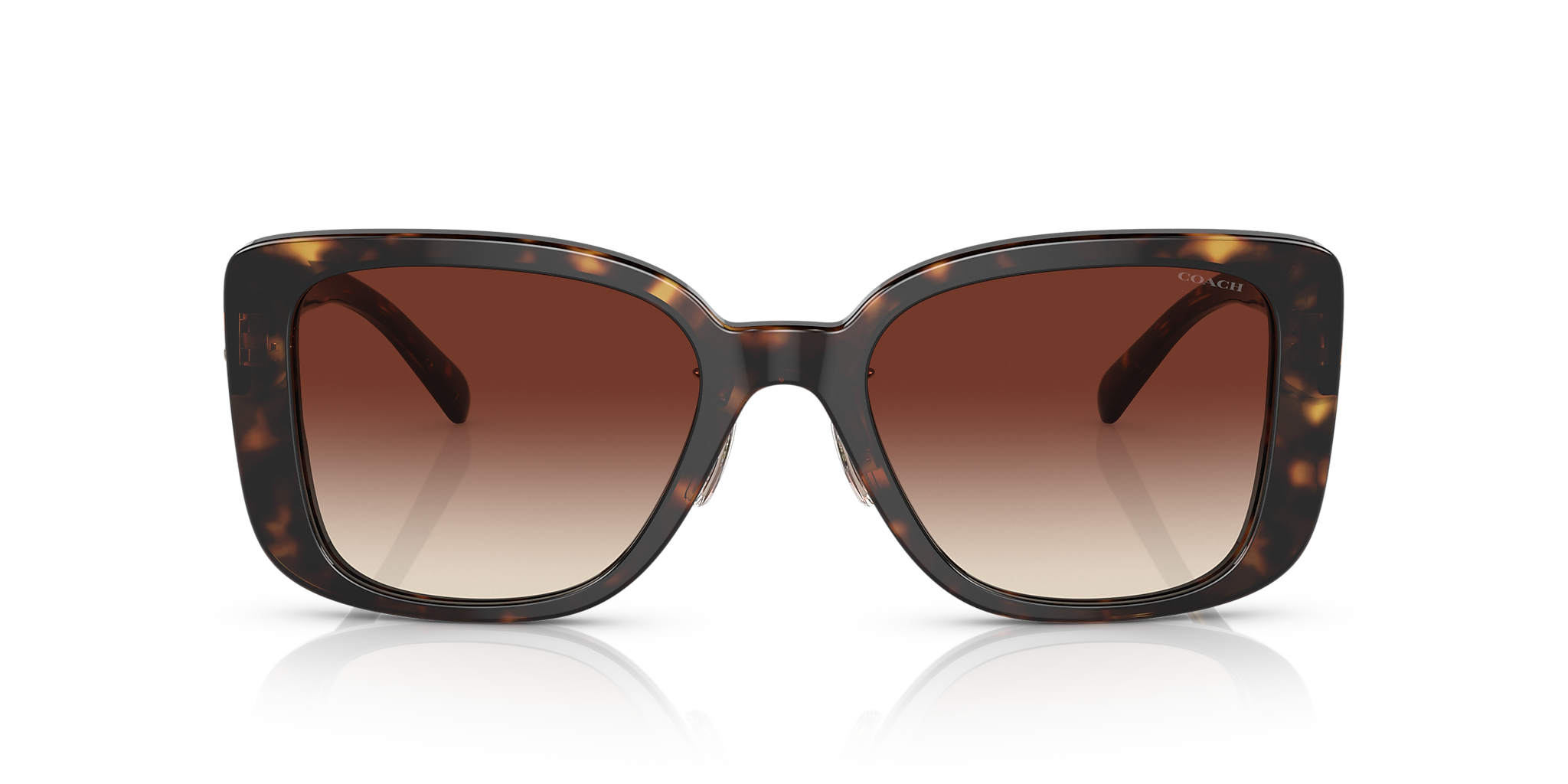 Dark Tortoise