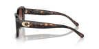 Dark Tortoise
