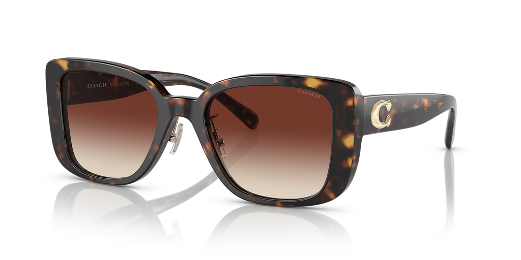 Dark Tortoise