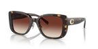 Dark Tortoise