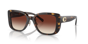 Dark Tortoise  - Dark Brown Gradient