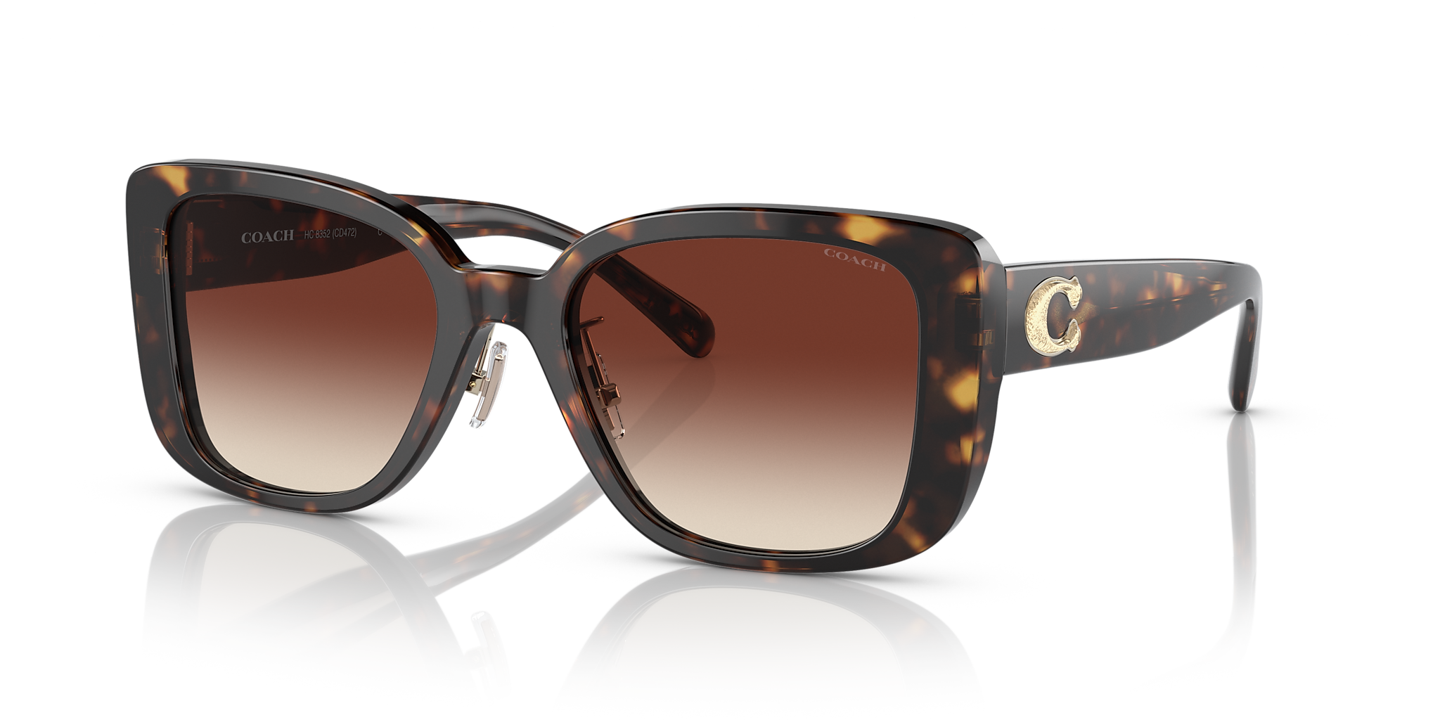 Dark Tortoise