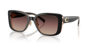Black/Blush  - Brown Purple Gradient