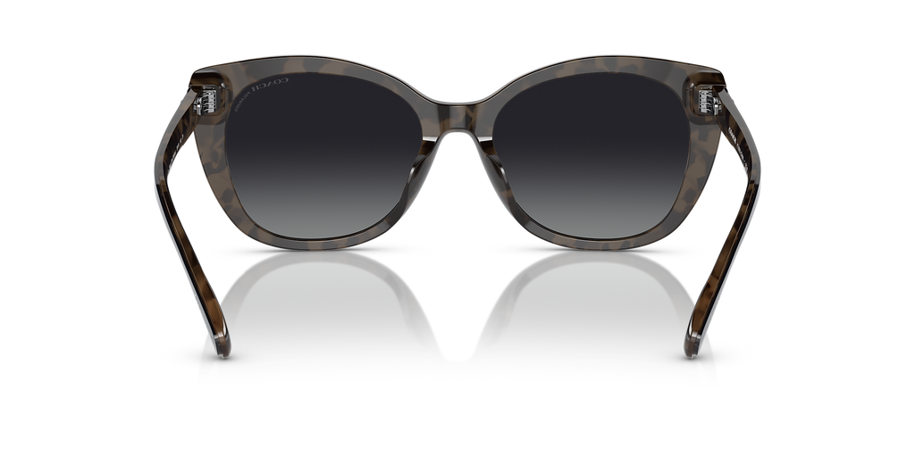 Black/Dark Tortoise