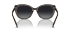 Black/Dark Tortoise