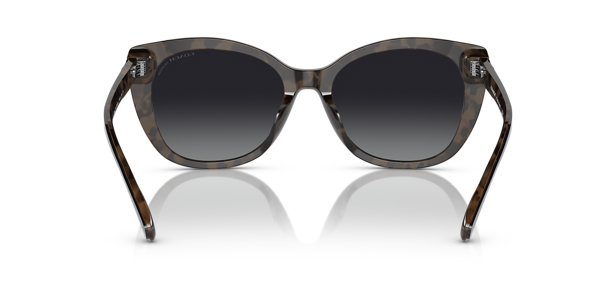 Black/Dark Tortoise