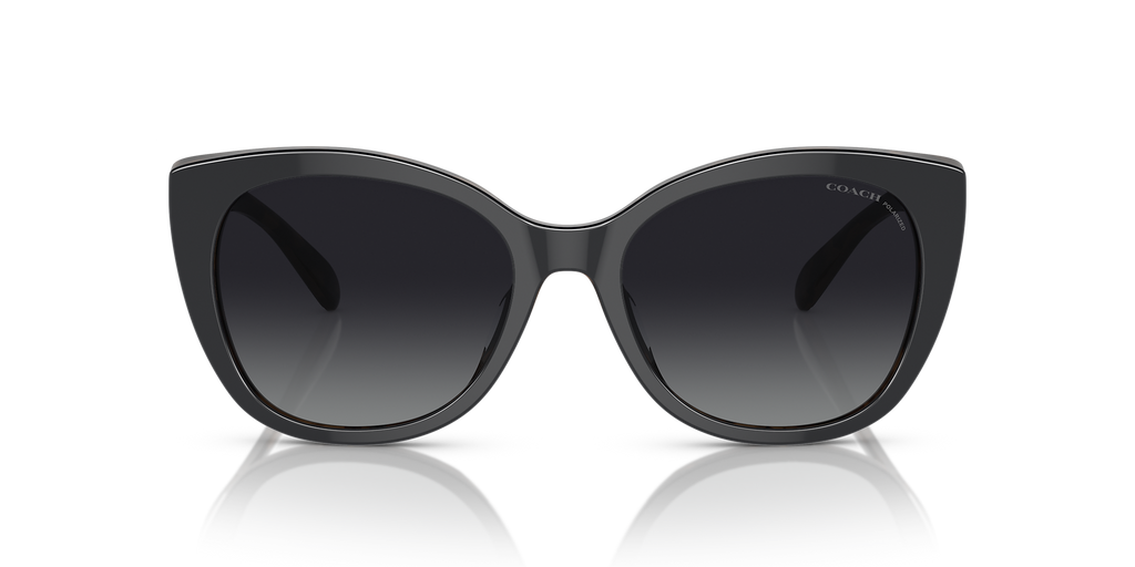 Black/Dark Tortoise