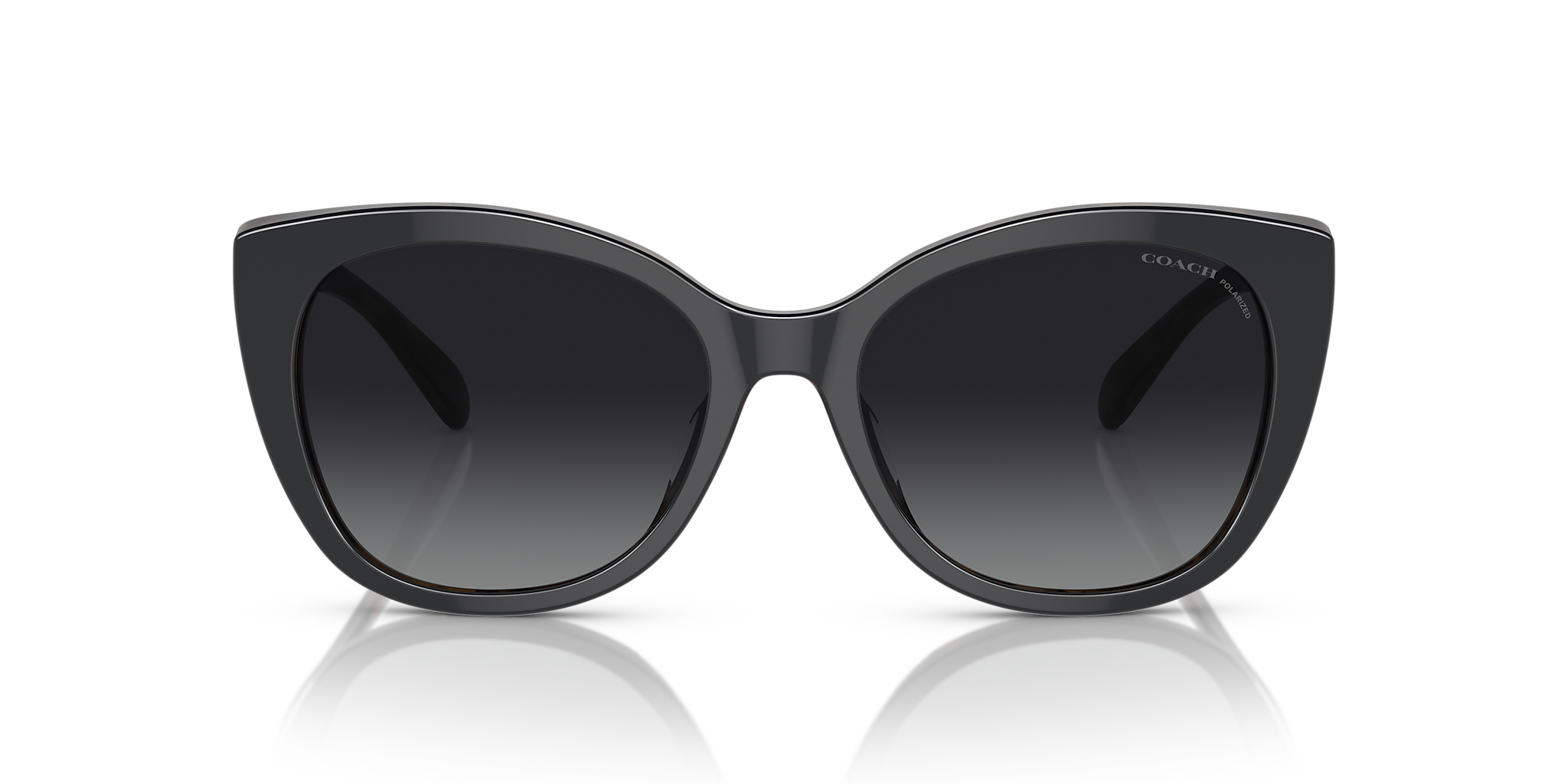 Black/Dark Tortoise