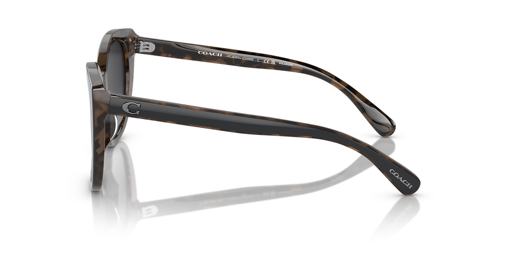 Black/Dark Tortoise
