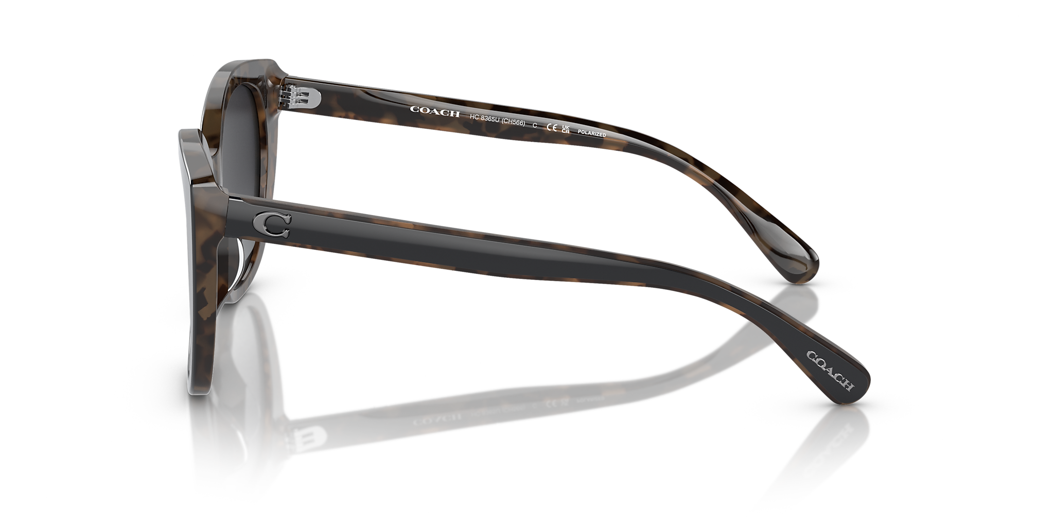 Black/Dark Tortoise