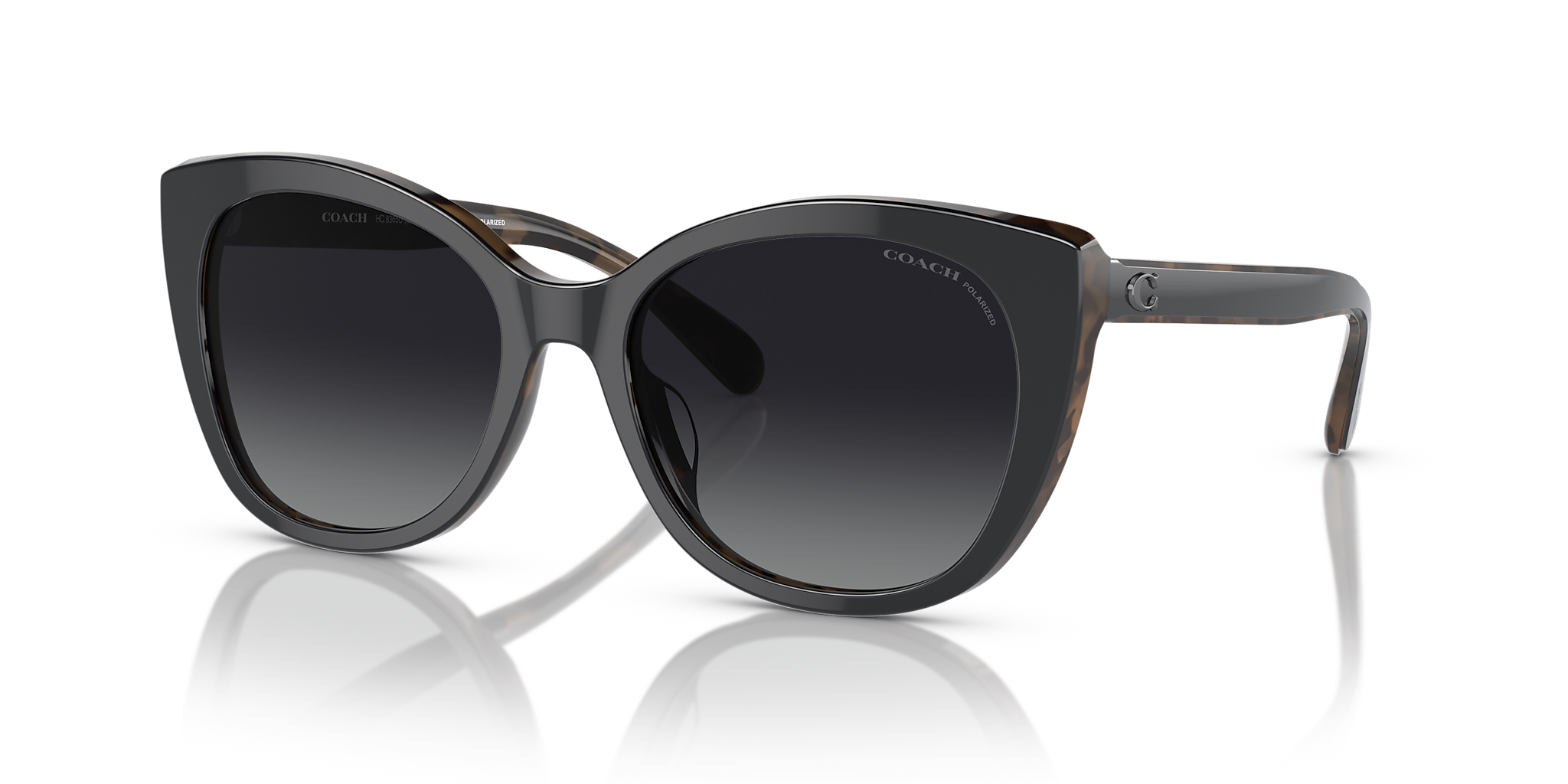 Black/Dark Tortoise