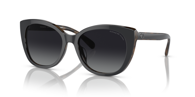 Black/Dark Tortoise