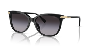 Black  - Grey Gradient