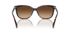 Dark Tortoise