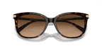 Dark Tortoise