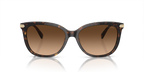 Dark Tortoise