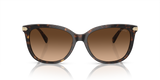 Dark Tortoise