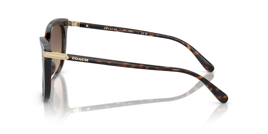Dark Tortoise
