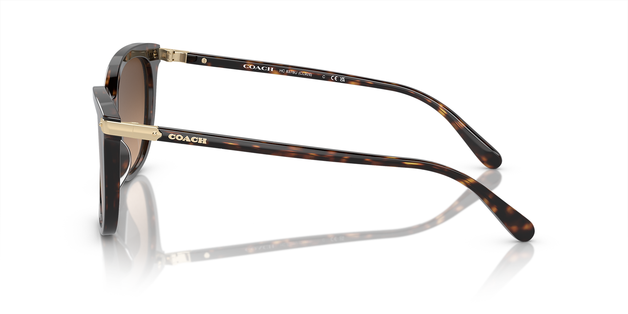 Dark Tortoise