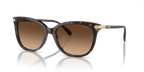 Dark Tortoise