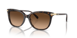 Dark Tortoise