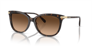 Dark Tortoise  - Brown Gradient