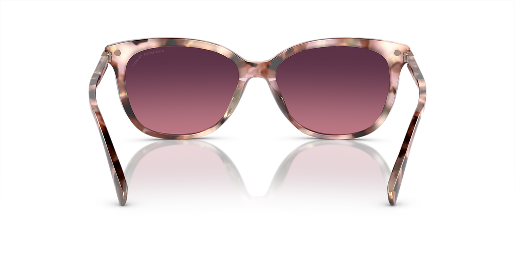 Rose Pearl Tortoise