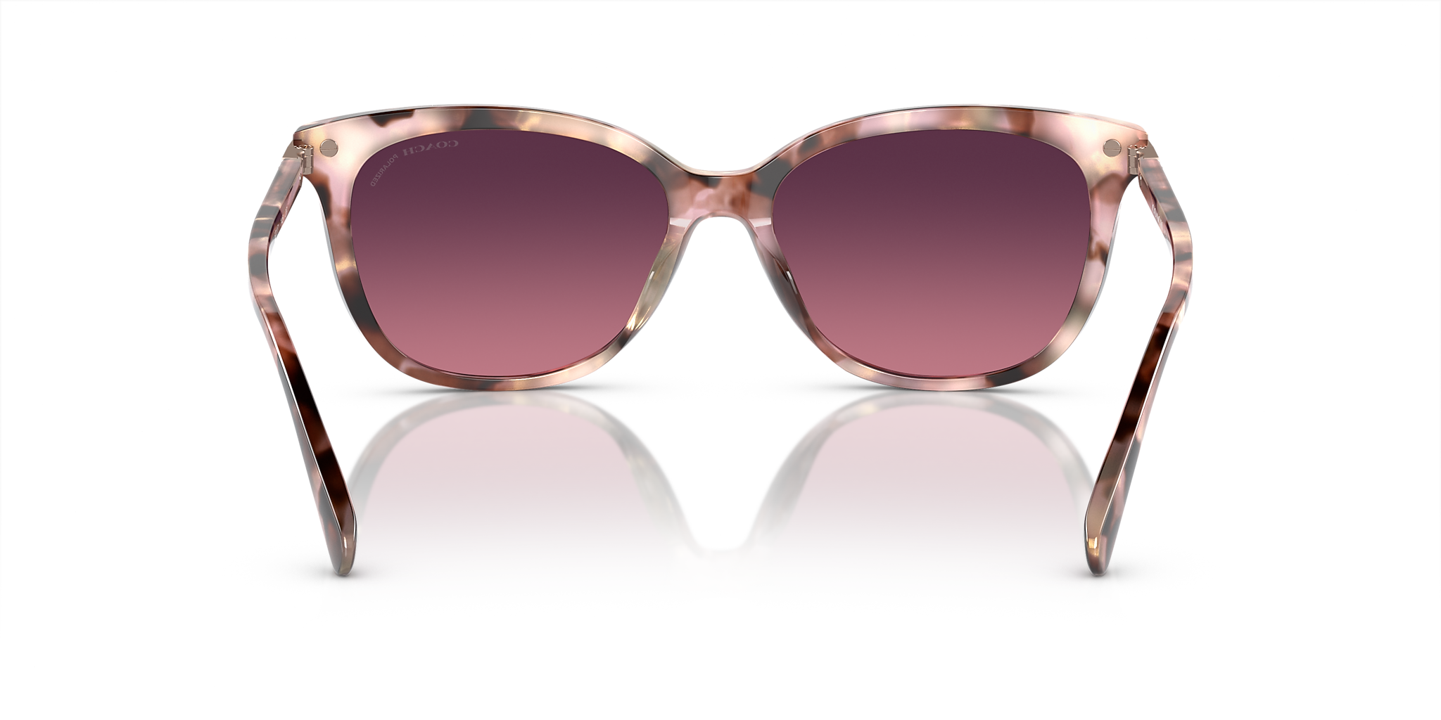 Rose Pearl Tortoise