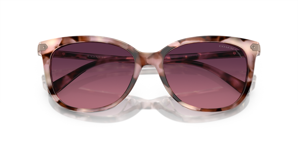 Rose Pearl Tortoise