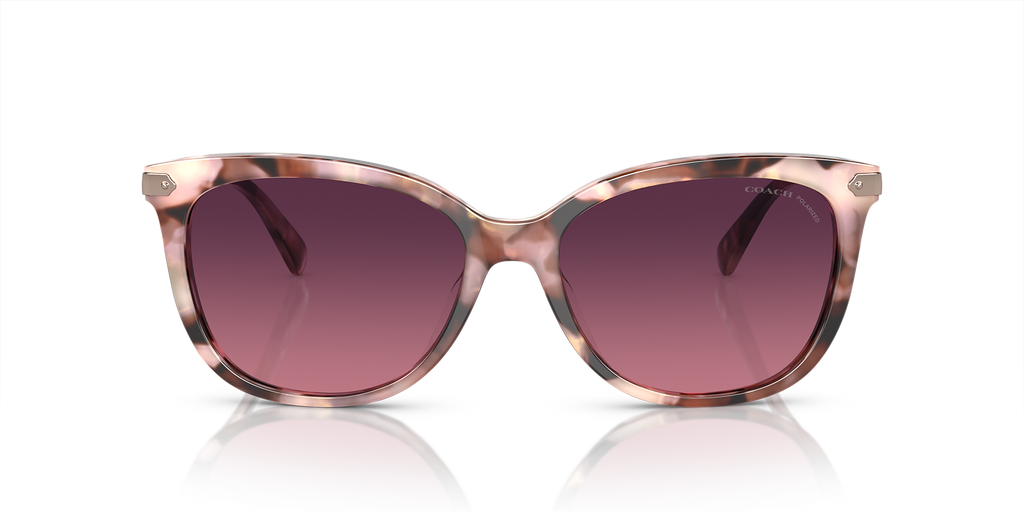Rose Pearl Tortoise