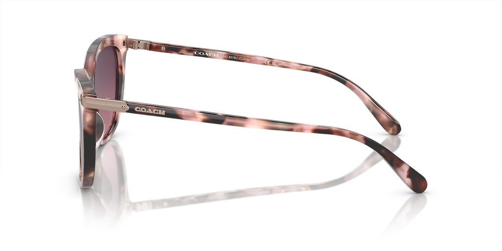 Rose Pearl Tortoise