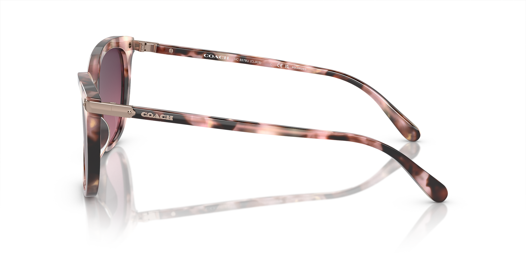 Rose Pearl Tortoise