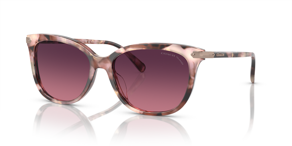 Rose Pearl Tortoise