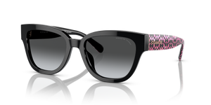Black  - Grey Gradient Polar
