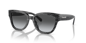 Grey Pearl Signature C  - Grey Gradient Polarized