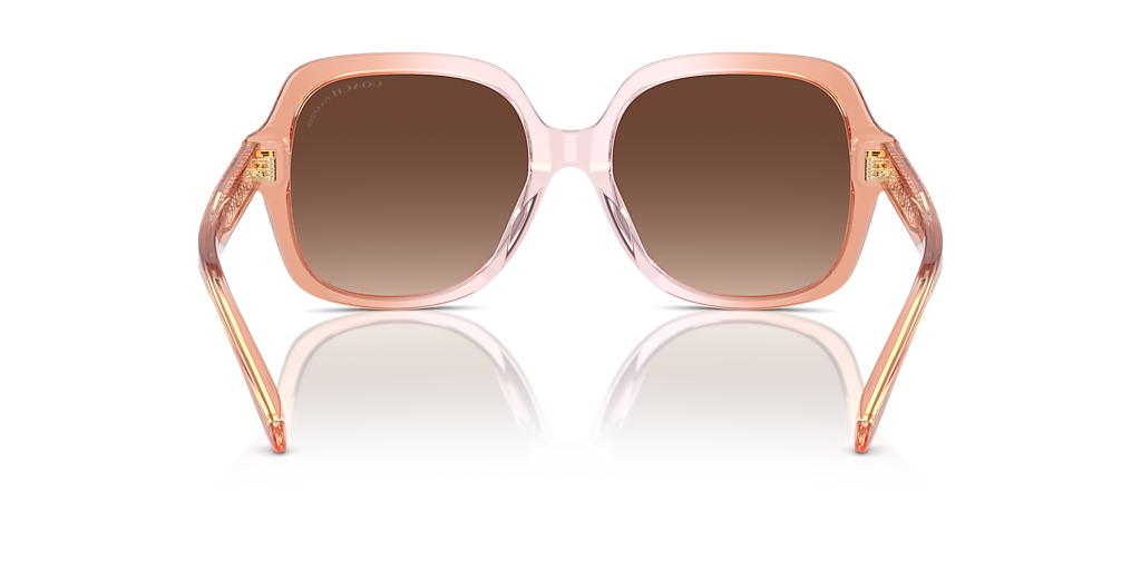 Saddle/Dusty Rose Gradient